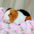 Peluche Animigos Cochon d’Inde
