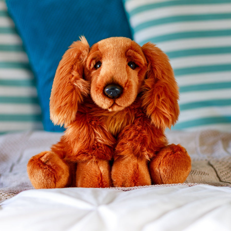 Cocker Spaniel