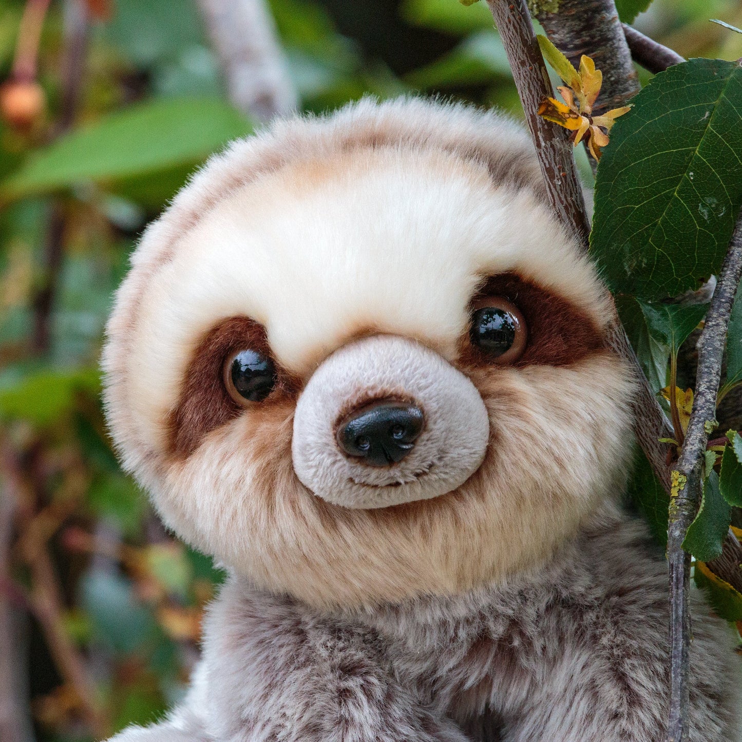 ANIMIGOS SLOTH NATURE WORLD