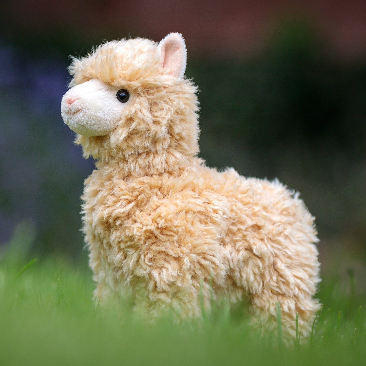 ANIMIGOS THE WORLD OF NATURE ALPACA