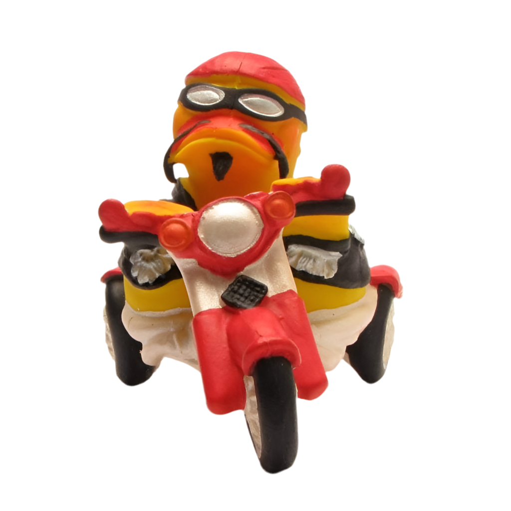 Anatra motociclista