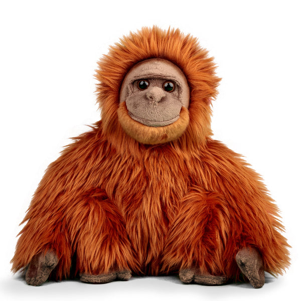 ANIMIGOS MONDE DE LA NATURE ORANG-OUTAN
