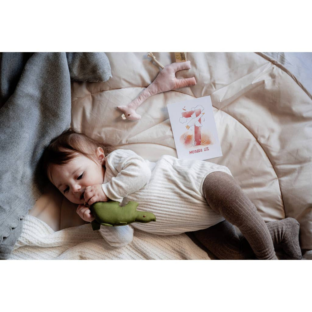 Cartes Étapes de Bébé (16 pièces)