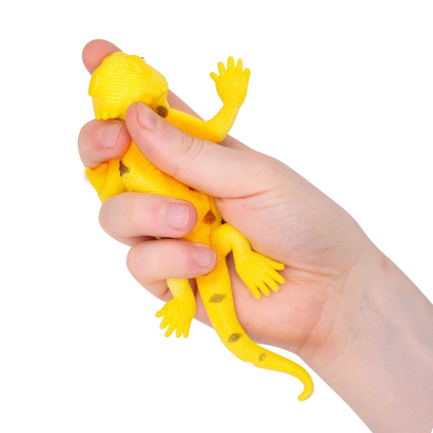 LIZARDS THAT CHANGE COLOUR