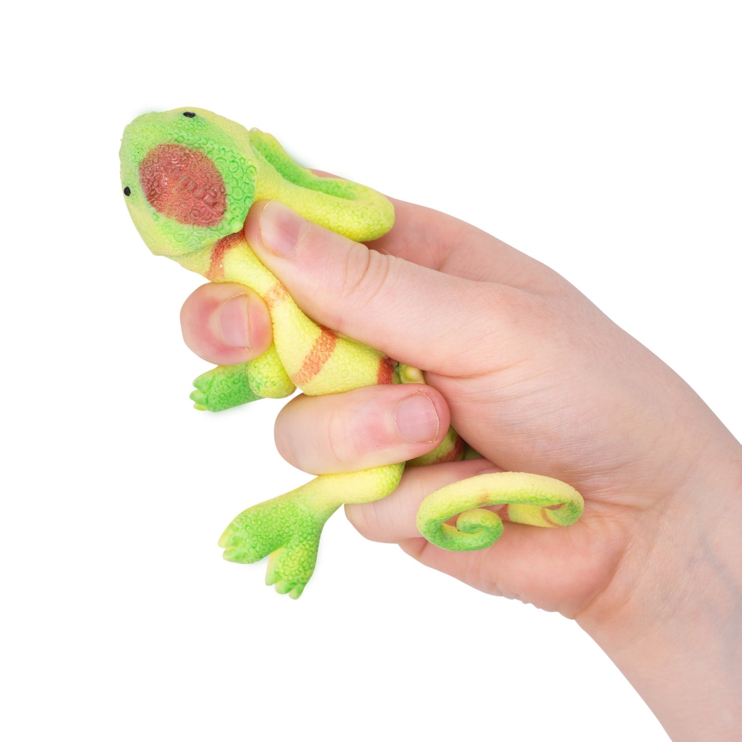 LIZARDS THAT CHANGE COLOUR