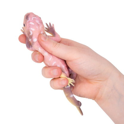 LIZARDS THAT CHANGE COLOUR