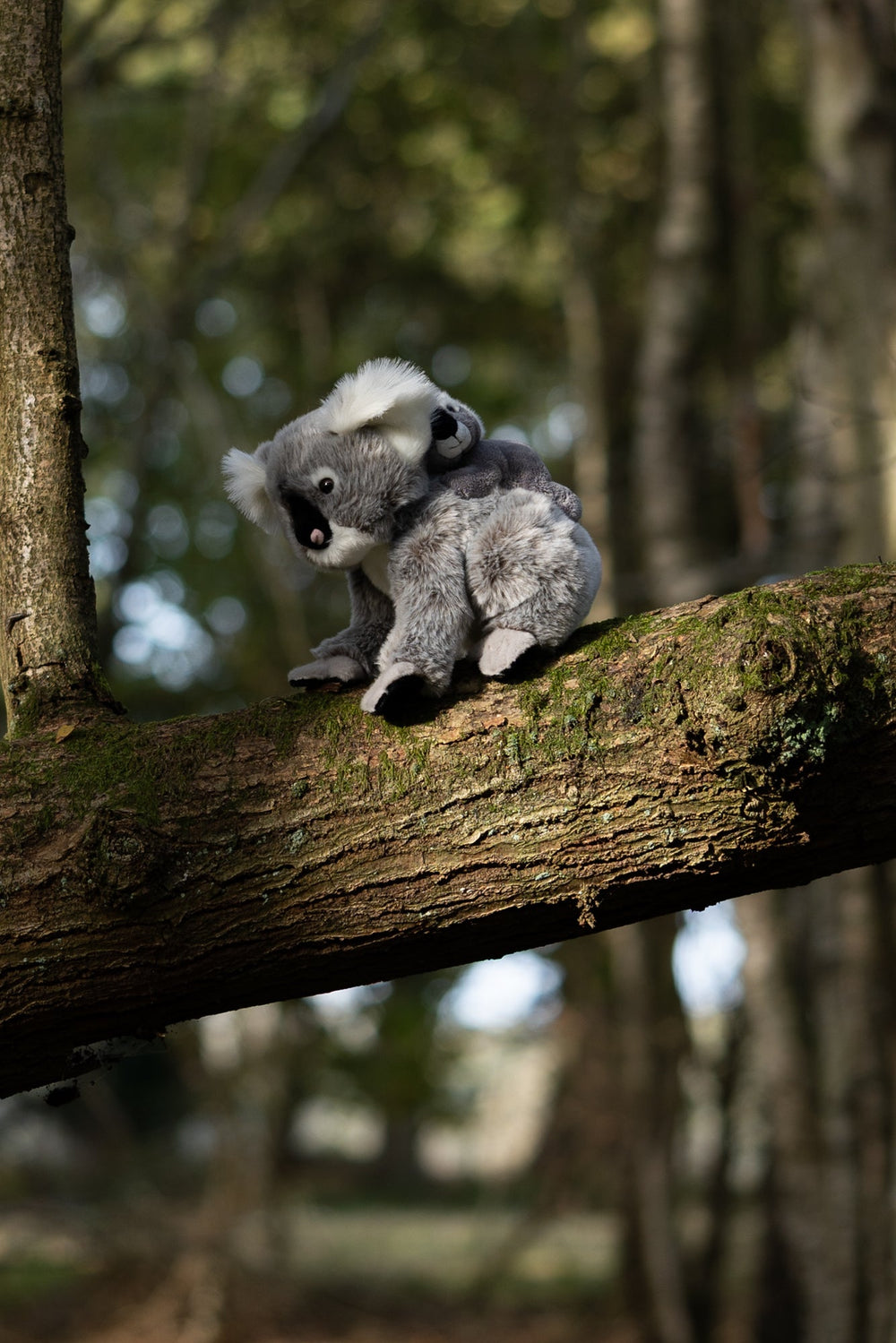Peluche Animigos Koala et Bébé