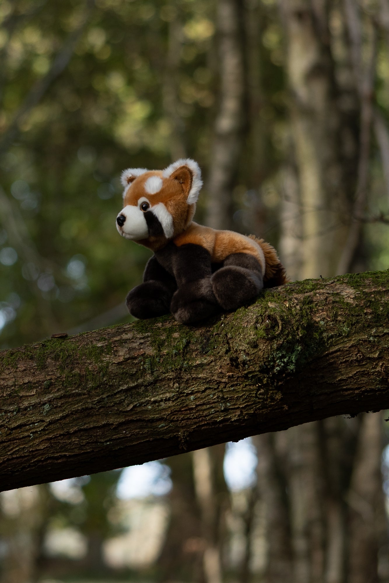 ANIMIGOS WORLD OF NATURE RED PANDA