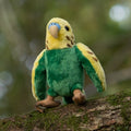 Peluche Animigos Perruche