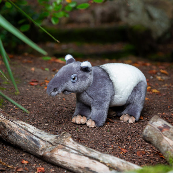ANIMIGOS MONDE DE LA NATURE TAPIR