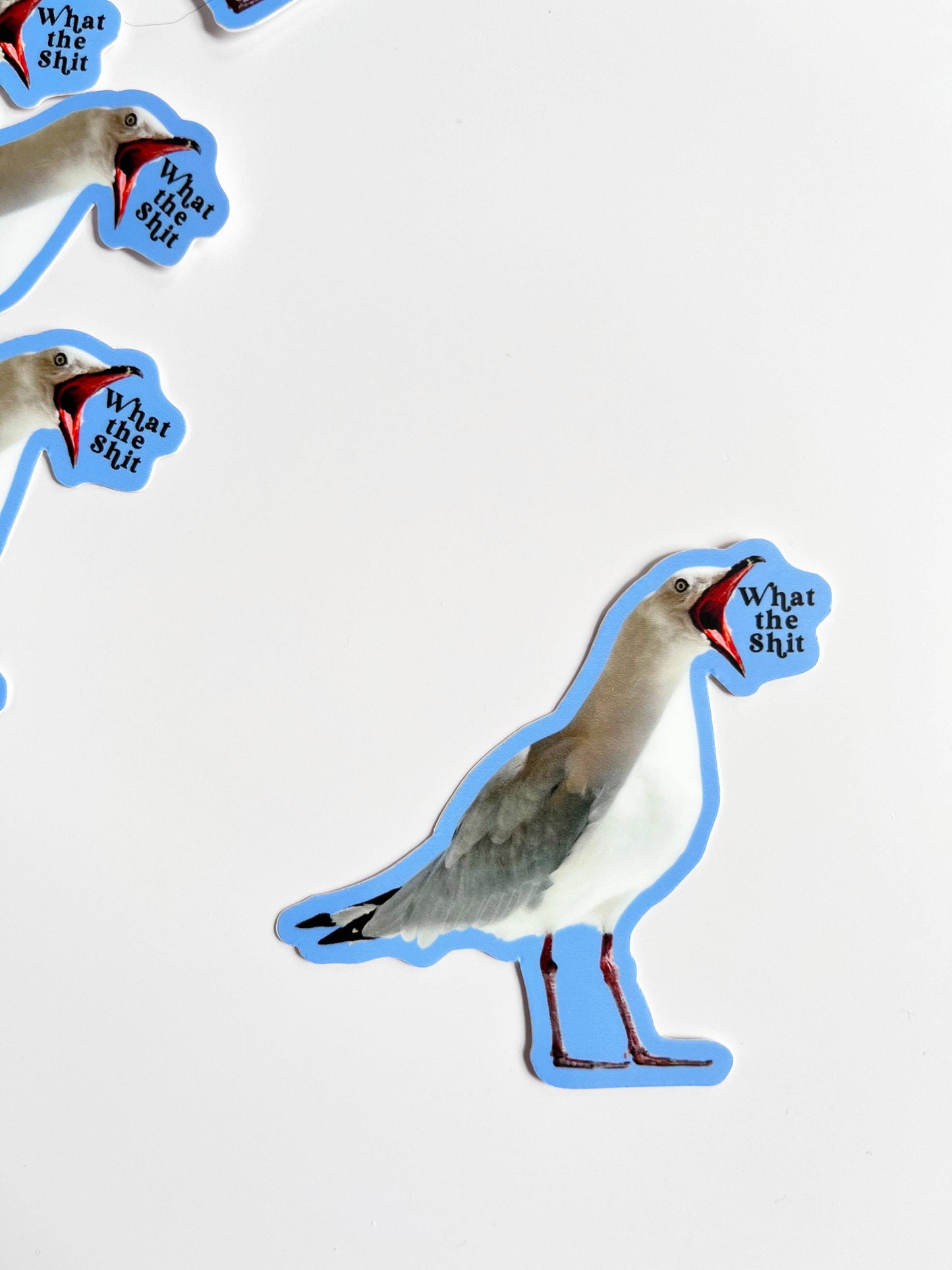 "What the Shit" Seagull Sticker