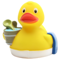 Canard Sauna