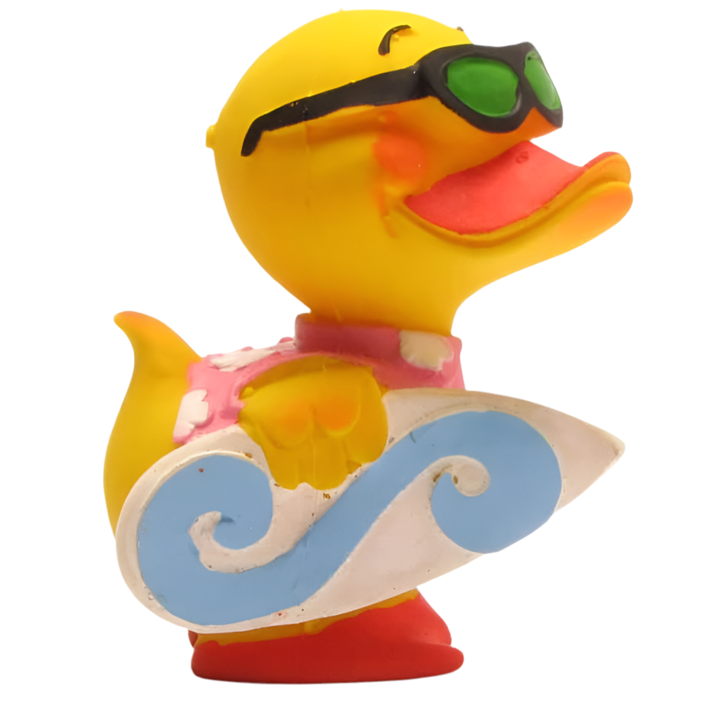 canard surfeur lanco