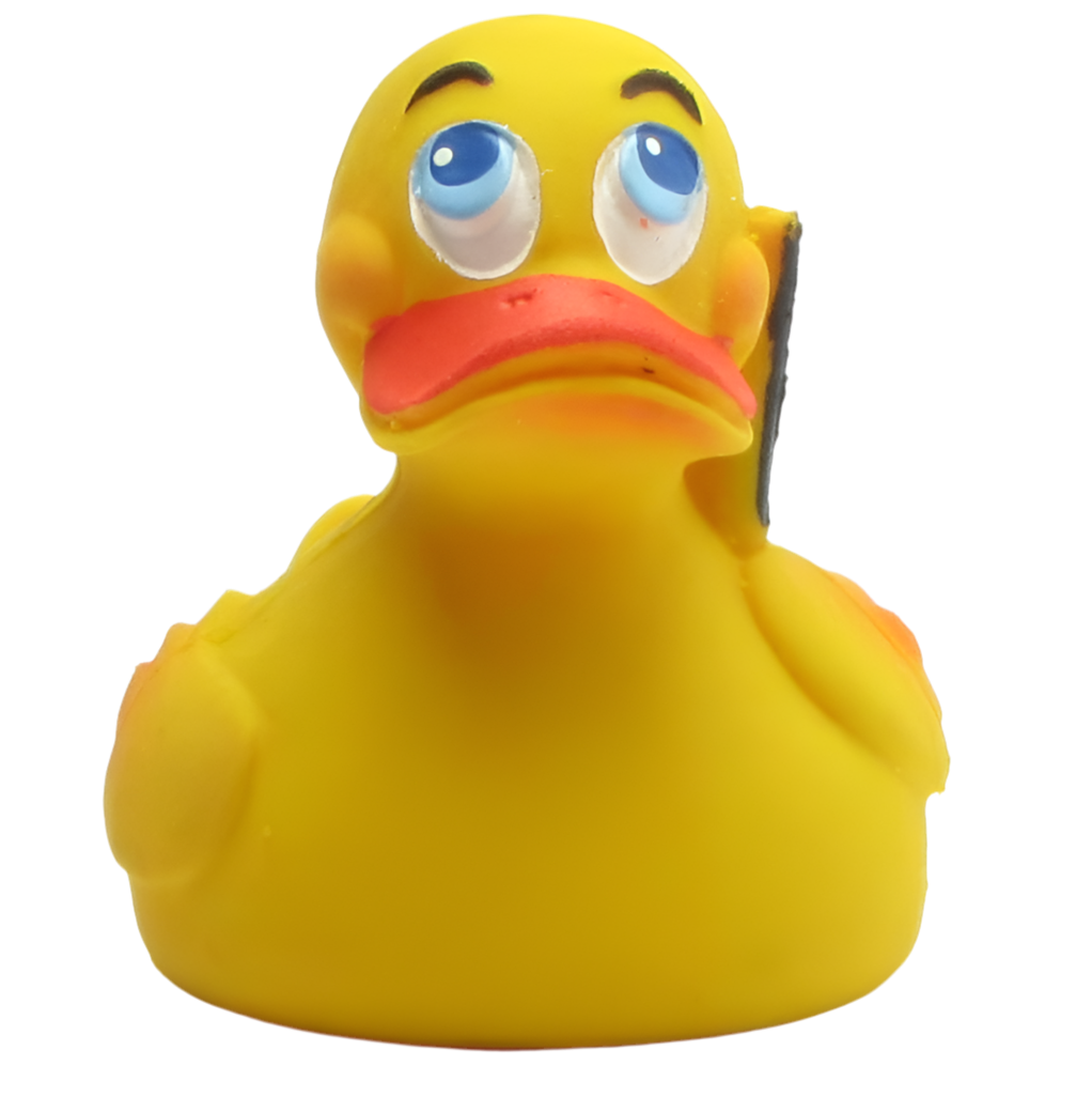 Austrian Duck