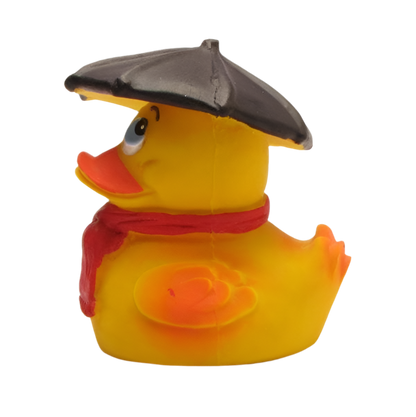 Rainy Weather Duck