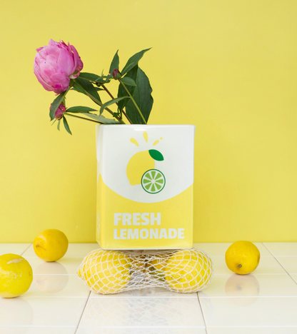 lemonade brick vase