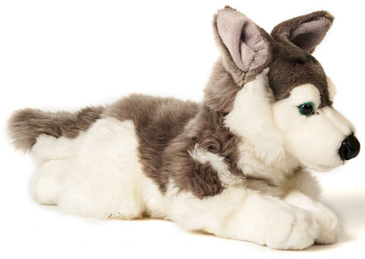 Peluche Husky gris couché
