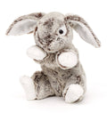 Peluche Lapin aux Oreilles Tombantes