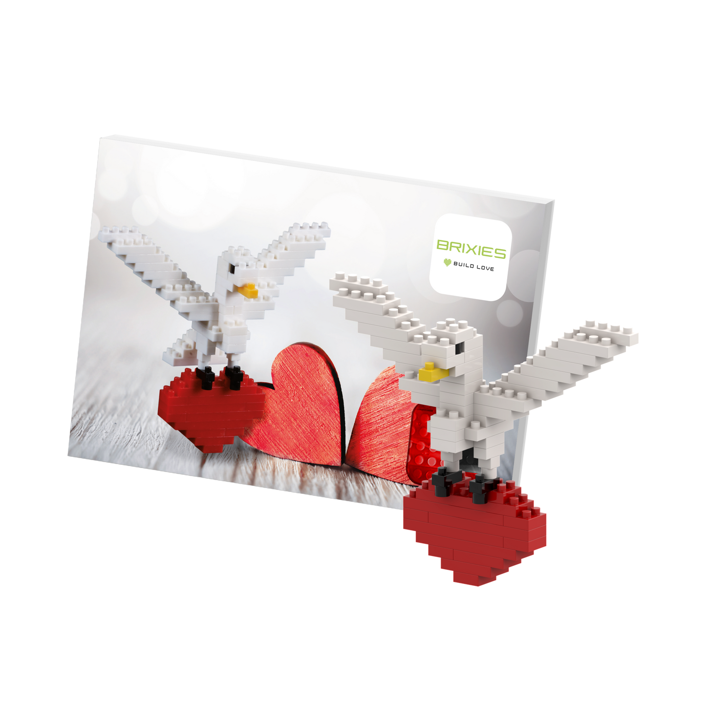 BRIXIES Turtle Dove Postcard