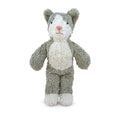 Animal Bébé Chat