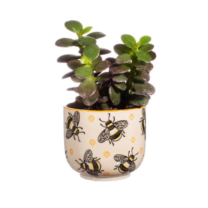 Flowerpot Bees "Busy Bees"