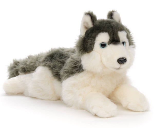 Peluche Husky gris, couché Uni Toys