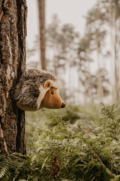 Jenna the Hedgehog Plush Wall Decoration