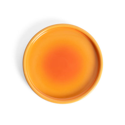 Plaque Terre Dégradée Helio Ferretti Vue 2