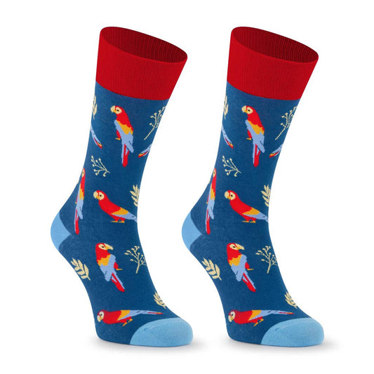 "LOROS" Parrot Socks