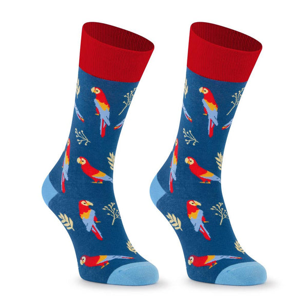 "LOROS" Parrot Socks