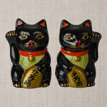 Salt & Pepper Lucky Black Cats