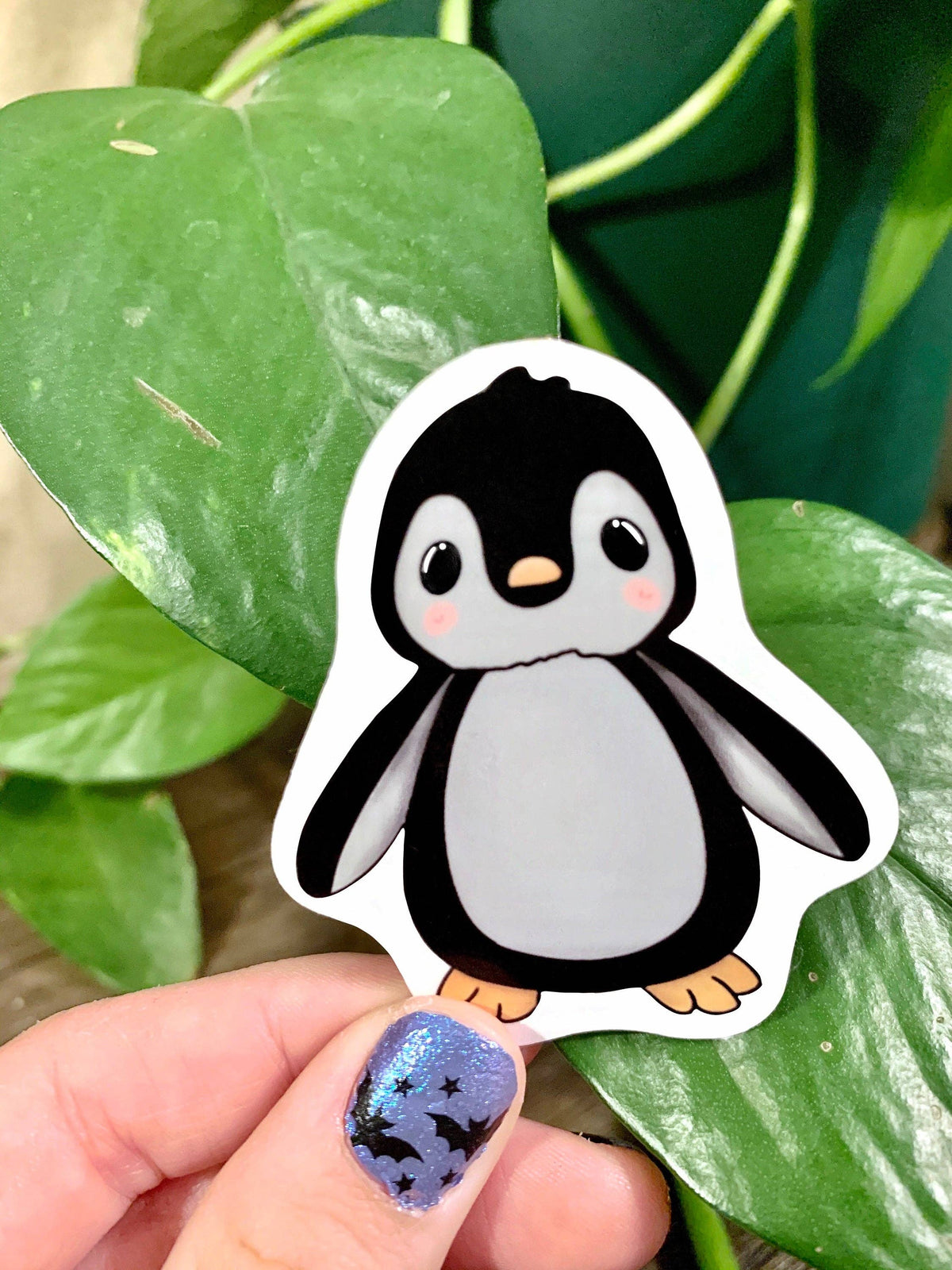 Adesivo pinguino