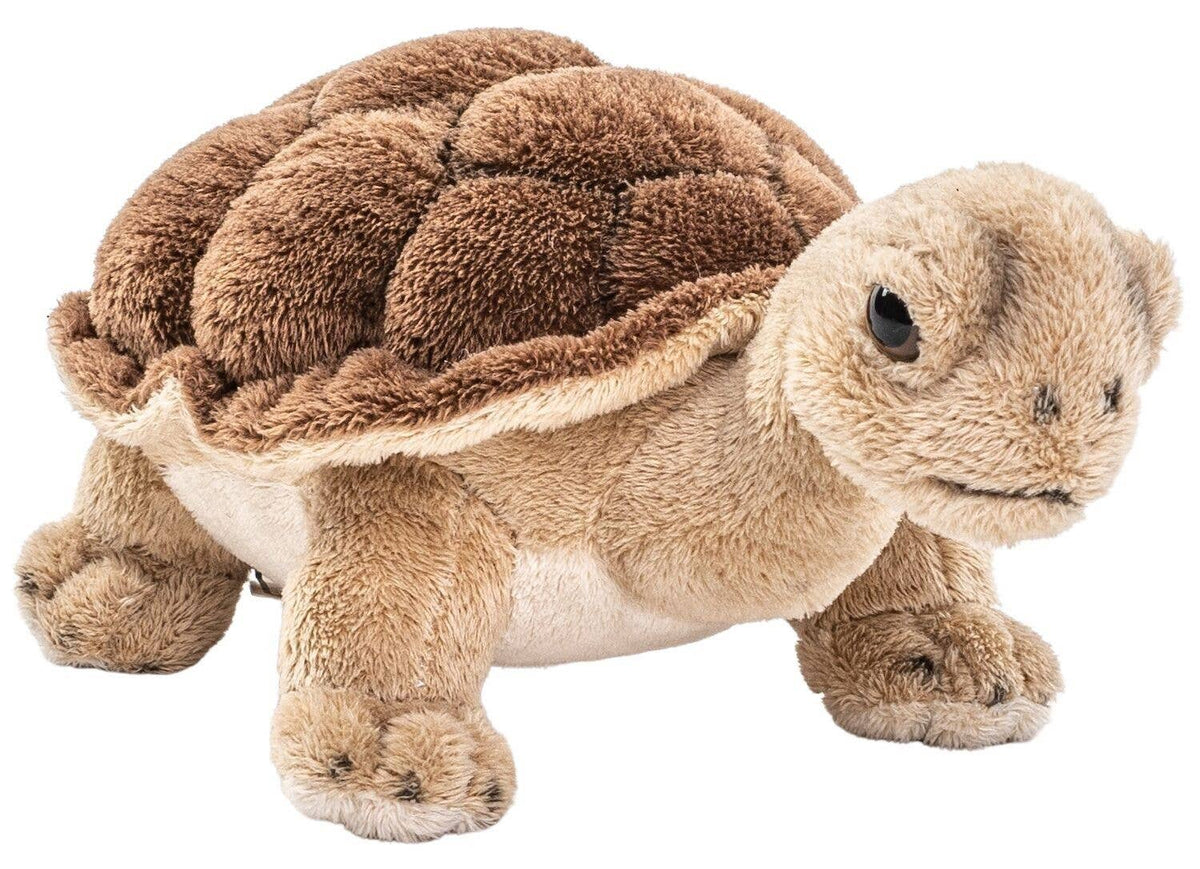 Peluche tortue