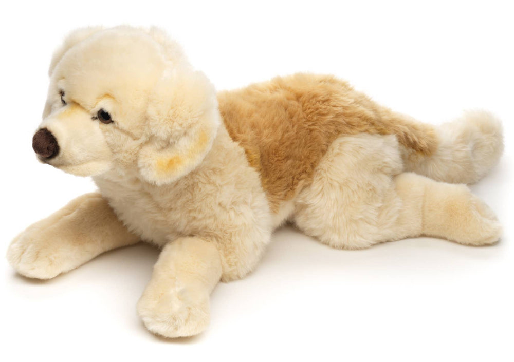 Peluche Golden Retriever, Couché (sans Harnais) - 60 cm (Longueur)