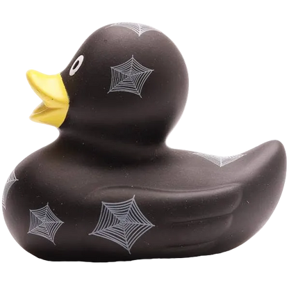 Canard Toile d'araignée
