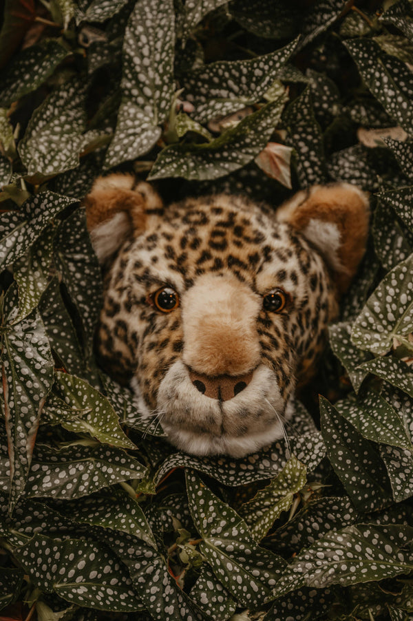 Charlie le Léopard : Déco murale - Tête moyenne - Wild & Soft
