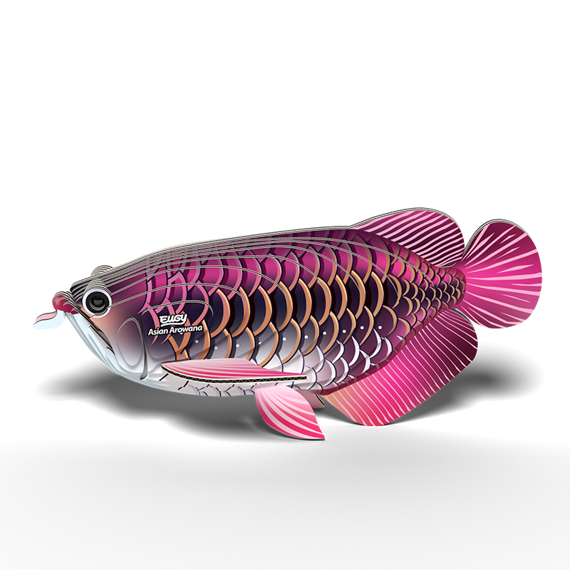 eugy 118 asian arowana