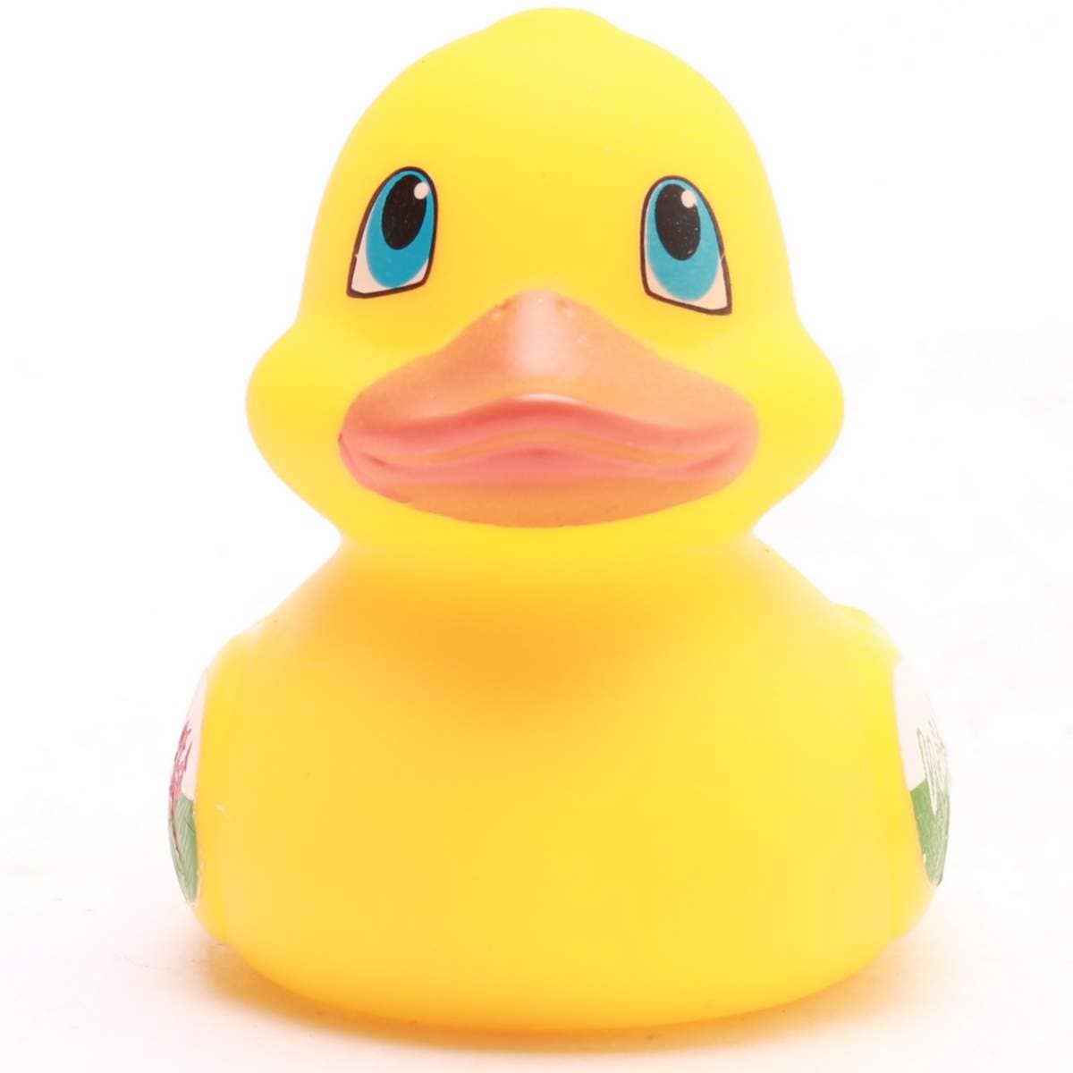 Mini Welsh Duck
