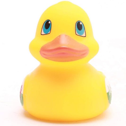 mini canard pays de galles elgate products