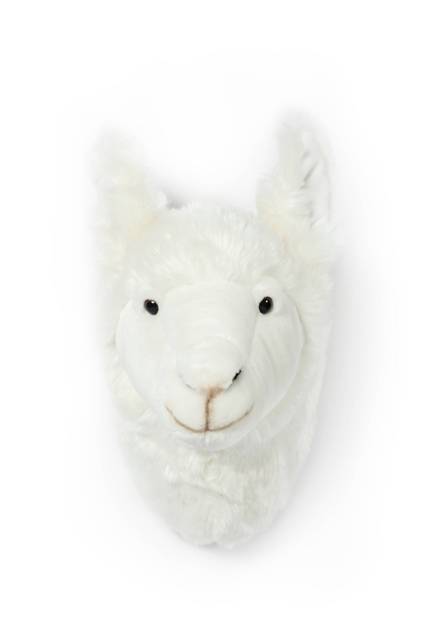Lily the Llama Plush Wall Decoration