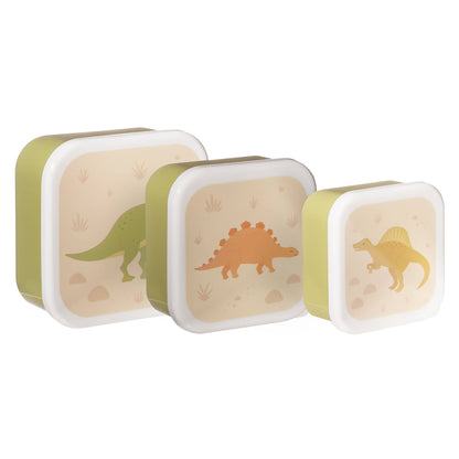 Dinosaur Desert Lunch Boxes - Set of 3