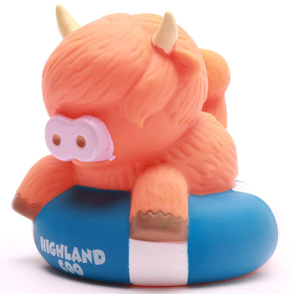 Vache des Highlands sur Bouée
