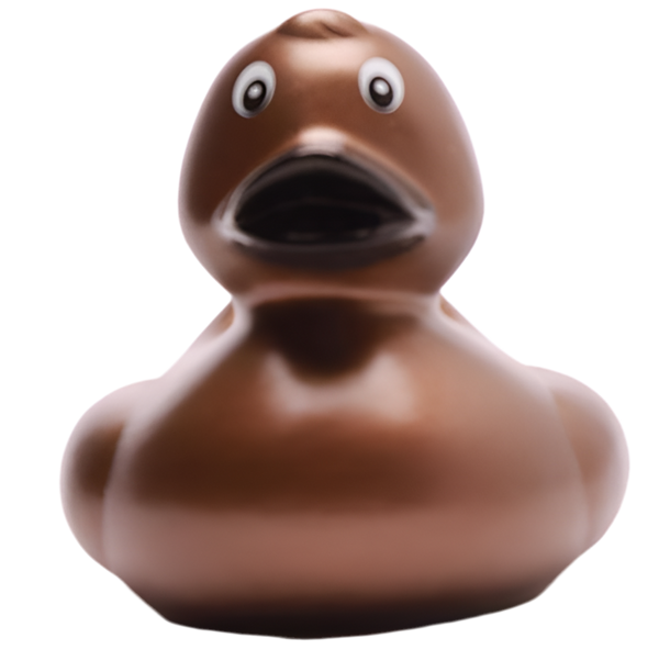 canard classique bronze