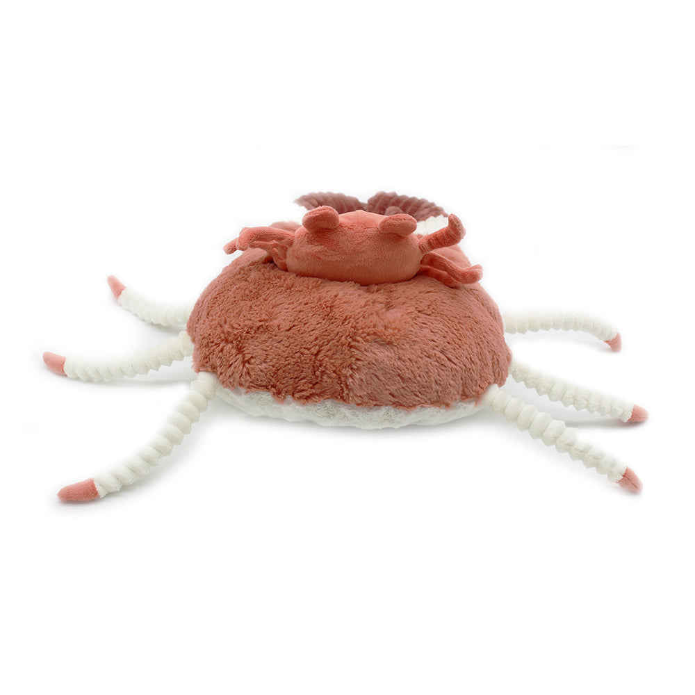 Peluche crabe Cassecou maman et son bébé terracotta – Les Ptipotos – vue 6