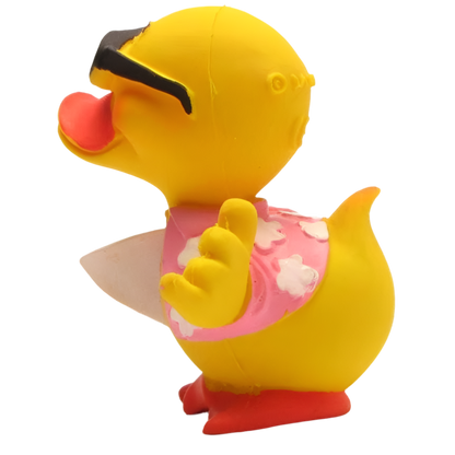 canard surfeur lanco