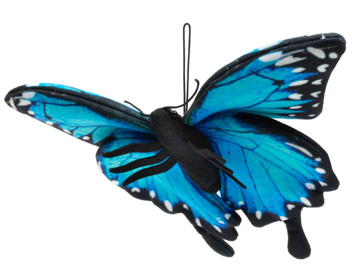 Peluche papillon bleu avec boucle