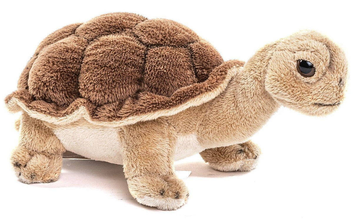 Turtle plush toy