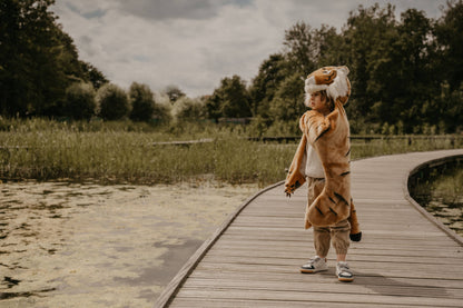 Tiger costume for children