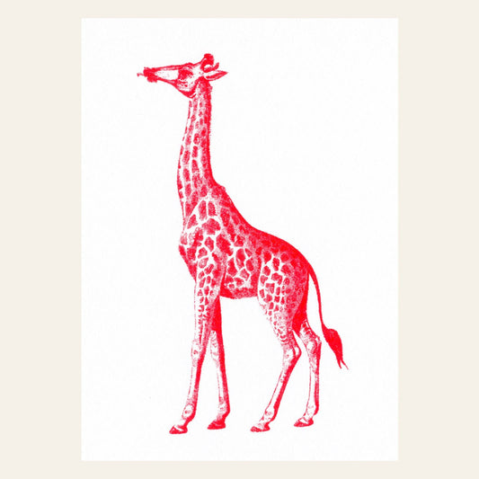 Red Giraffe Postcard