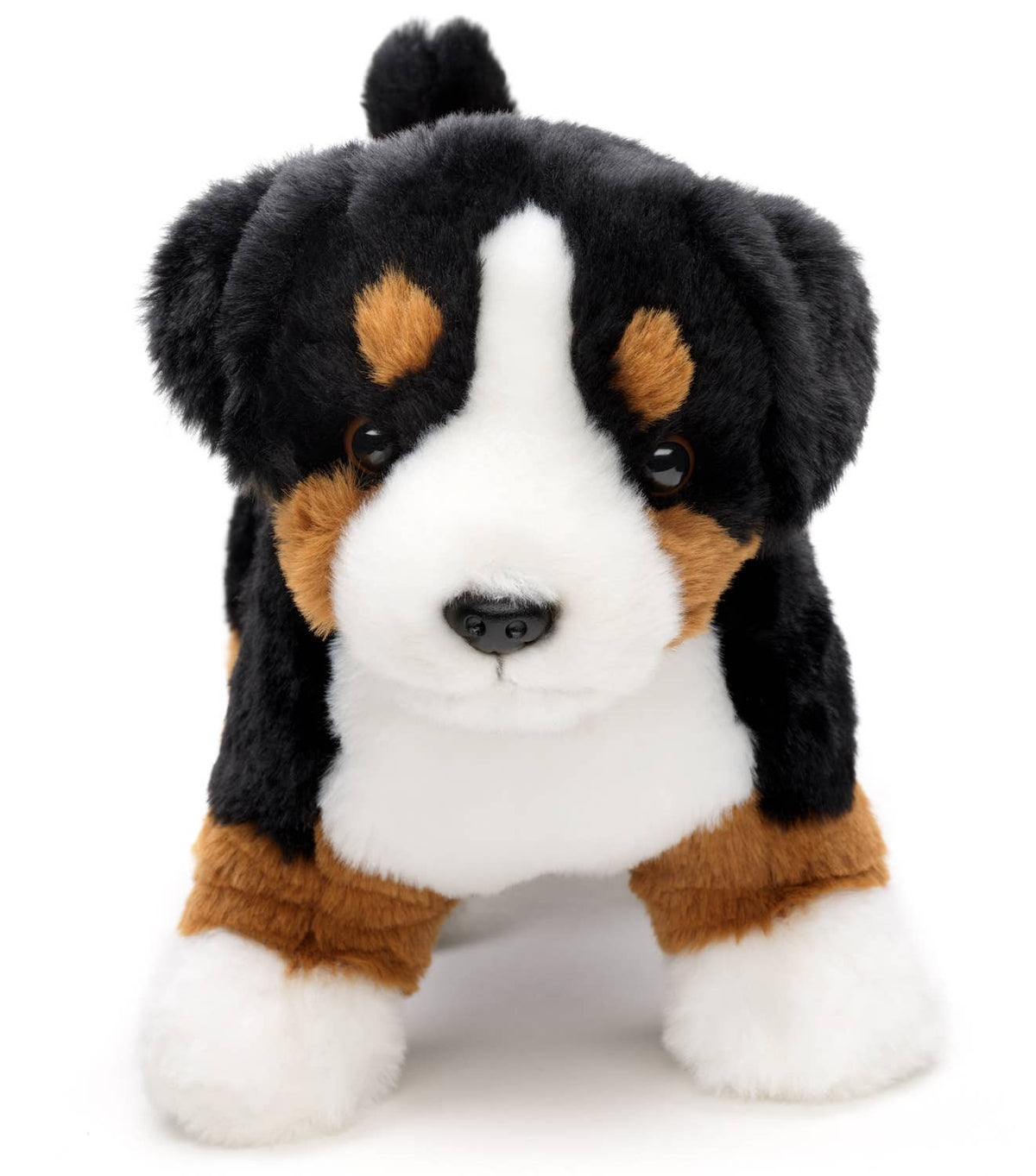 Peluche chiot bouvier bernois debout